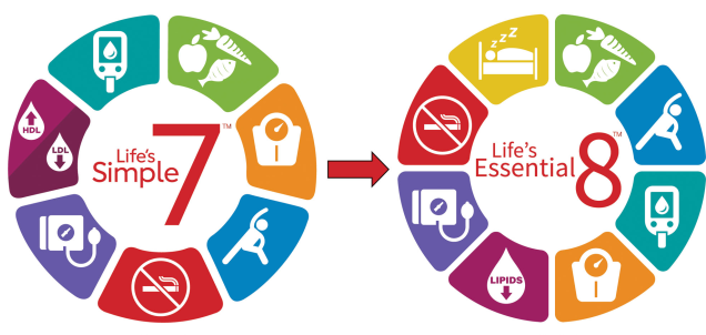 Top 8 Categories to Include in a Life Essentials File